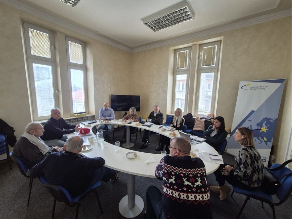 DIS-RadnaGrupaNKEU-1